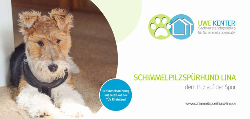 Flyer Schimmelpilpspürhund Lina